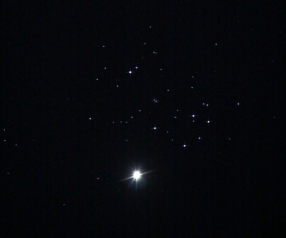 venus pleiades tavi