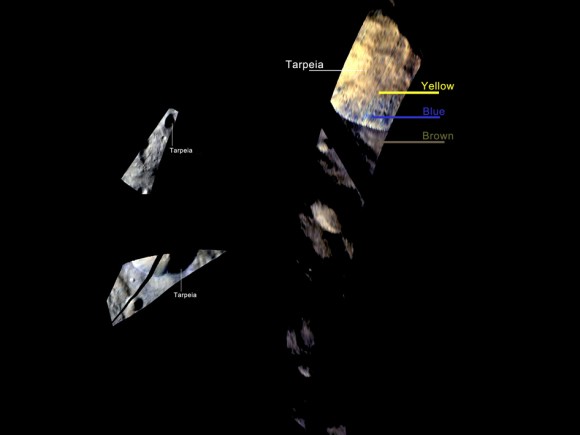vesta tarpeia