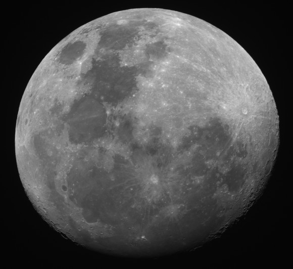 Moon Main Crop