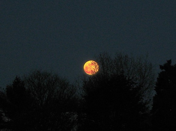 moon20