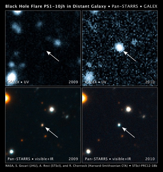 pan starrs black hole