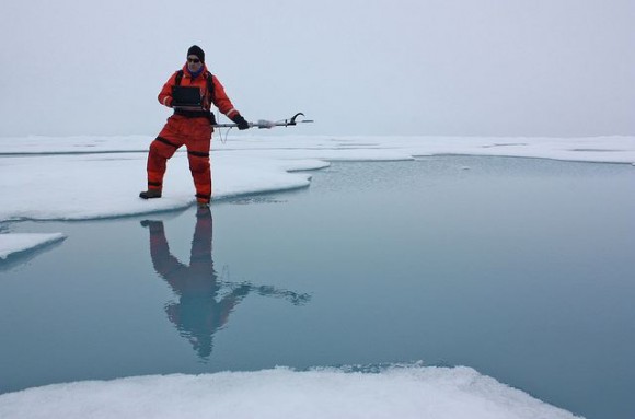 arctic