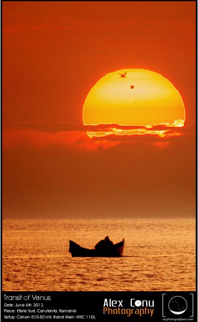transit boat and bird