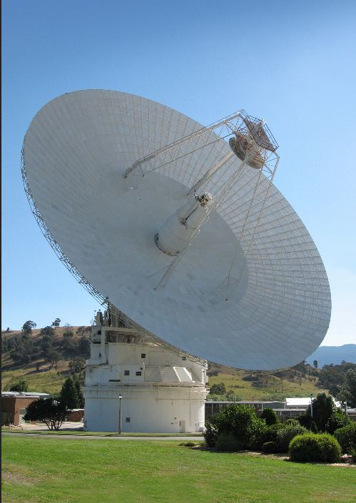 dish