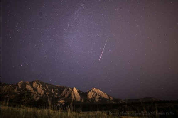 perseid patrick cullis