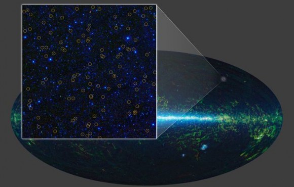 wise black holes