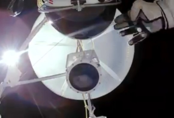 Felix Salutes