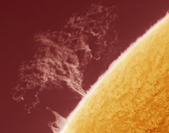 Sun crop AFriedman