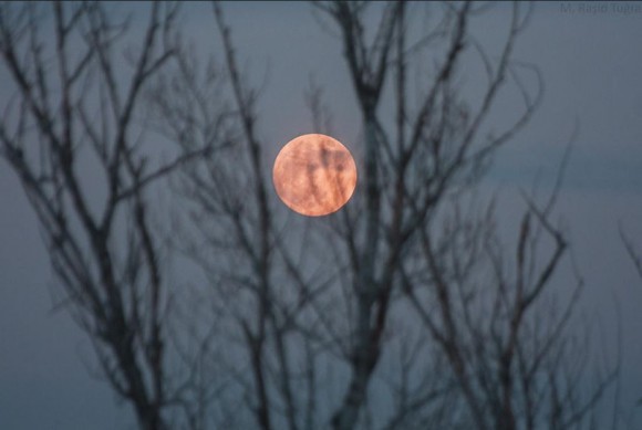 full moon nukleer