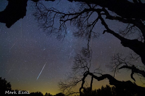 geminid mark
