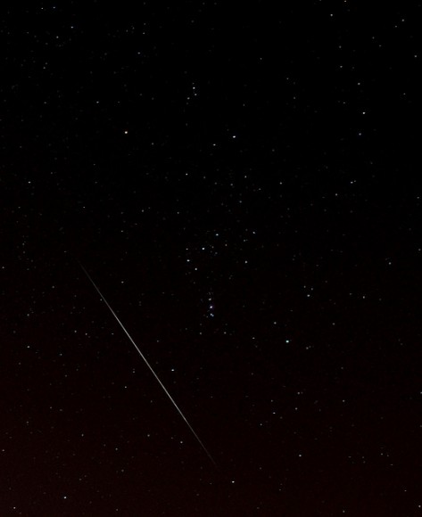geminid murphy