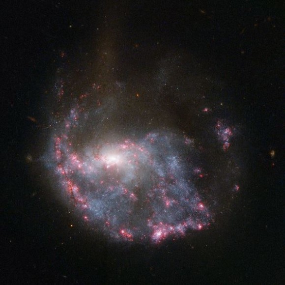 hubble pink