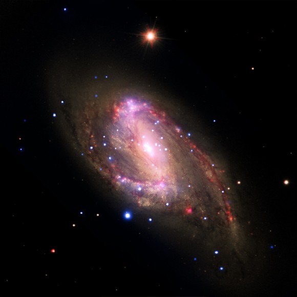 This multiwavelength image of the galaxy NGC 3627 contains X-rays from Chandra (blue), infrared data from Spitzer (red), and optical data from Hubble and the Very Large Telescope (yellow). Astronomers conducted a survey of 62 galaxies, which included NGC 3627, to study the supermassive black holes at their centers. Among this sample, 37 galaxies with X-ray sources are supermassive black hole candidates, and seven were not previously known. Confirming previous Chandra results, this study finds the fraction of galaxies hosting supermassive black holes is much higher than in optical searches for black holes that are relatively inactive.