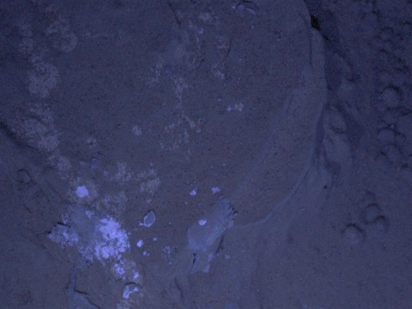 721606main_pia16712-43_1024-768