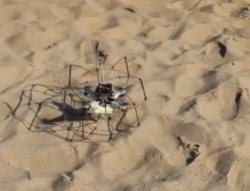 HyTAQ on sand
