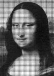Mona Lisa smile