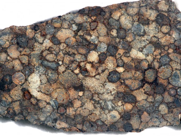A slice of the NWA 5205 meteorite from the Sahara Desert displays wall-to-wall chondrules. Credit: Bob King