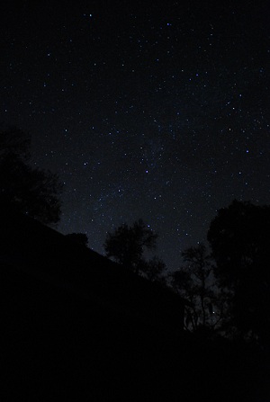 A vanishing treasure; true dark skies. (Photo by Author).