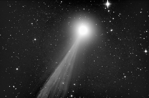 Incredible detail is seen in the gas tail of F6 Lemmon in this photo made with a 19.6-inch telescope Feb. 17, 2013. Credit: Martin Mobberley