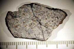 A polished slice of one of Russian meteorite samples. You can see round grains called chondrules and shock veins lined with melted rock. The meteorite is probably non-uniform. The preliminary analysis showed that the meteorite belongs to chemical type L or LL, petrologic type 5.
