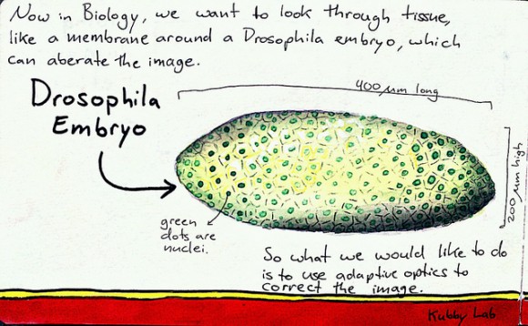 adaptive11