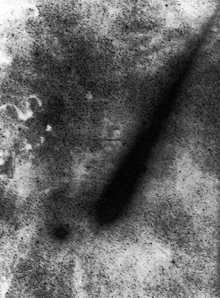 A negative image of Comet Austin. Credit: European Southern Observatory