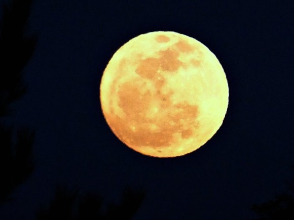 The full Moon as seen in Japan on Feb. 25, 2013. Credit and copyright: Masashi Ito.