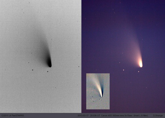 Special filters and a negative image to try and 'tease out the structure of the tail,' says photographer David G. Strange.