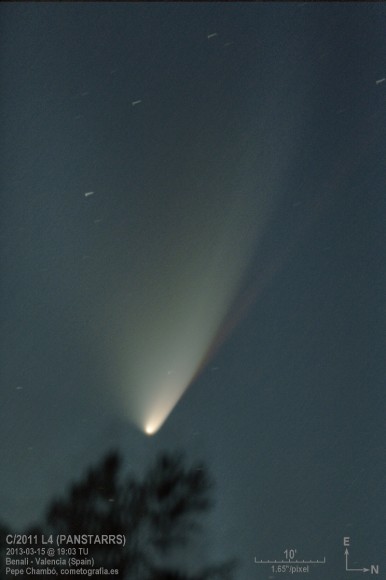 Comet C/2011 L4 PANSTARRS sports a broad dust tail and a narrower red-tinted tail in this photo made on March 15, 2013. The red tail may be from sodium atoms released by materials colliding with each other as they leave the comet under pressure and heat from the sun. Credit: José J. Chambó