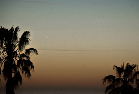 Comet PANSTARRS seen over Venice, California on March 11, 2013. Credit and copyright: Thad Szabo.