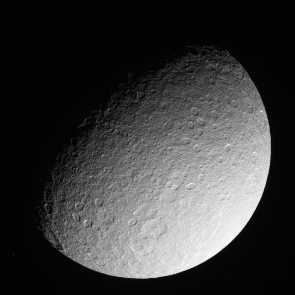 rhea-3-580x580.jpg