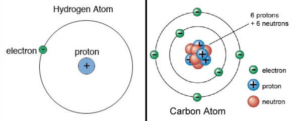 Атомы-из протонов, нейтронов и орбитальных электронов. Число протонов в ядро атома, делает его уникальным из всех остальных. Водород, простейший элемент, имеет один, а углерод имеет шесть. 