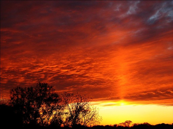 Recent Sun Pillar seen near Toronto, Canada. Credit and copyright: Rick Ellis.