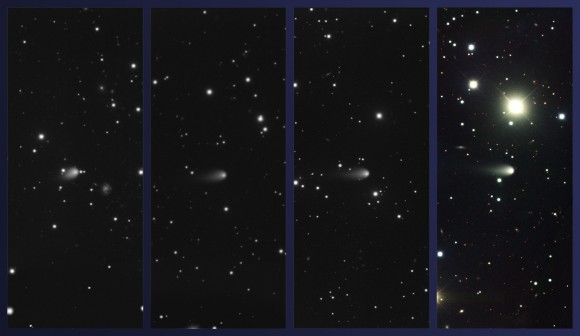 Images of Comet ISON obtained using the Gemini Multi-Object Spectrograph at Gemini North on February 4, March 4, April 3, and May 4, 2013 (left to right, respectively; Comet ISON at center in all images). Color composite produced by Travis Rector, University of Alaska Anchorage. Credit: Gemini Observatory/AURA