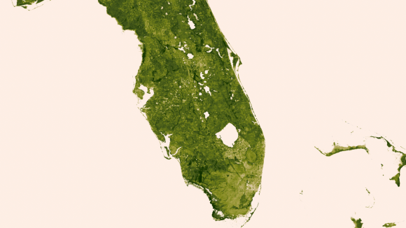 The Florida Everglades: March 18-24, 2013. The "river of grass" extending south of Lake Okeechobee shows clear signs of its modified state with areas of dense agriculture, urban sprawl and water conservation areas delineated by a series of waterways that crisscross Southern Florida. Credit: NOAA/NASA
