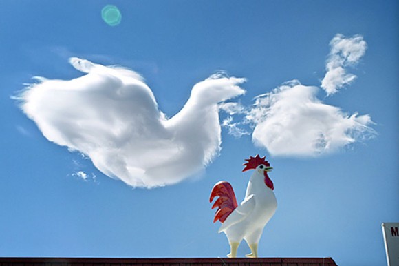 Seeing familiar shapes in clouds is easy especially when you've got a handy reference. Credit: Andrew Kirk