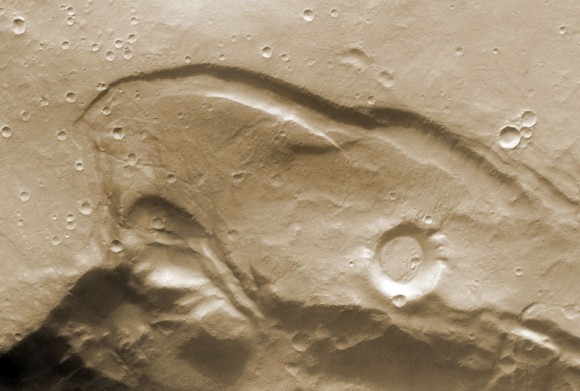 A Martian bird of prey? Watch out, that beak looks sharp!