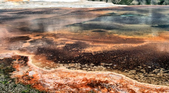 Upper Geyser Basin region in Yellowstone National Park in Wyoming. A new study supposes the Earth will look like this after the sun heats up in a few billion years' time. Credit: Jack O’Malley-James