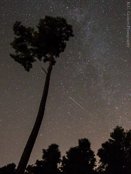 Perseid Meteor Shower and Milky Way image shot in Hampstead, North Carolina on a Canon 7D @10mm 30s f/4 ISO 2500. Credit and copyright: K.C. Goshert.