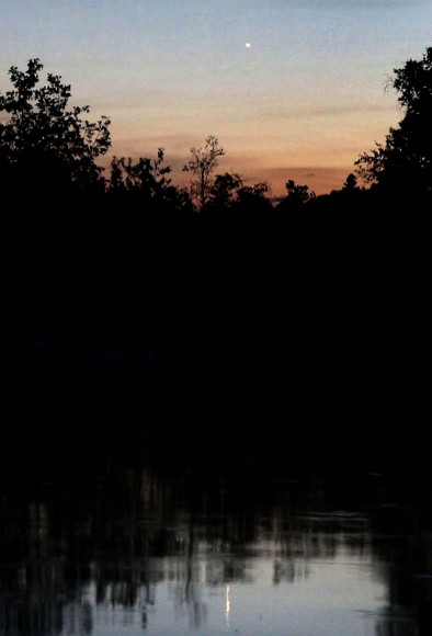 Venus reflected in Boulder Lake north of Duluth, Minn. two nights ago. Credit: Bob King
