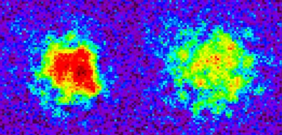 Atom density is greater at left (the beginning of the experiment) than 80 milliseconds after the simulated Big Bang. Credit: Chen-Lung Hung