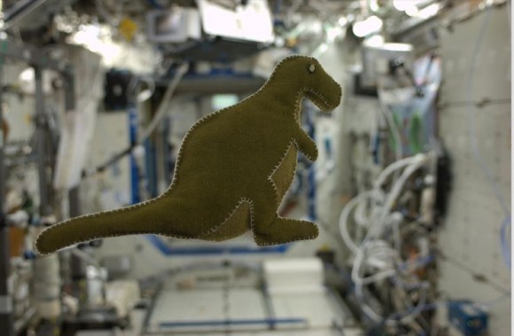 While on the ISS, astronaut Karen Nyberg made this dinosaur for her son, created from reclaimed velcro-like fabric that lines the Russian food containers. Credit: Karen Nyberg via Pinterest. 