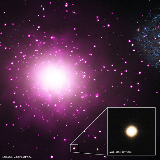 Galaxy M60-UCD1 is an ultra-compact dwarf galaxy, and is packed with an extraordinary number of stars. Credit: X-ray: NASA/CXC/MSU/J.Strader et al, Optical: NASA/STScI