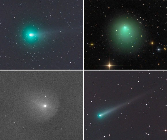 No fewer than four bright-ish comets greet skywatchers an hour before the start of dawn. From upper left counterclockwise: C/2013 R1 Lovejoy, 2P/Encke, C/2012 X1 and ISON. Credits: Gerald Rhemann, Damian Peach, Gianluca Masi and Gerald Rhemann