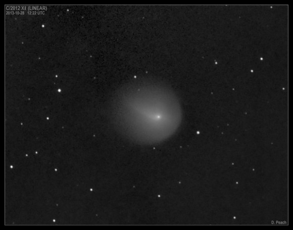 Comet 2012 1X (LINEAR) on October 28, 2013 following its recent outburst. Obtained under bright twilight, low altitude and moonlight! Credit and copyright: Damian Peach.
