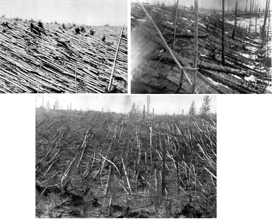 In 1908 the Tunguska impactor toppled millions of trees in a rather remote part of Siberia. The new study by Mainzer and coauthors aimed to better characterize the population of Tunguska-sized asteroids lurking in the vicinity of the Earth.