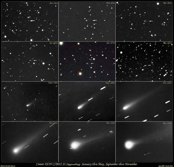 A montage of images of Comet ISON, taken from January-May and then September to late November. Credit and copyright: Efrain Morales/