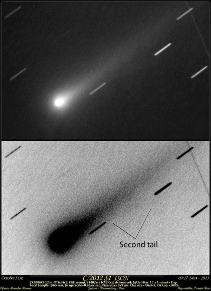 Early detection of ISON's possible ion tail on Oct. 31 by amateur astronomer Efrain Morales Rivera in a 12-inch telescope. 