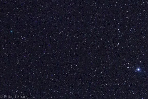 Procyon and Comet Lovejoy in the morning sky on October 31, 2013, from Arizona. Credit and copyright: Robert Sparks.