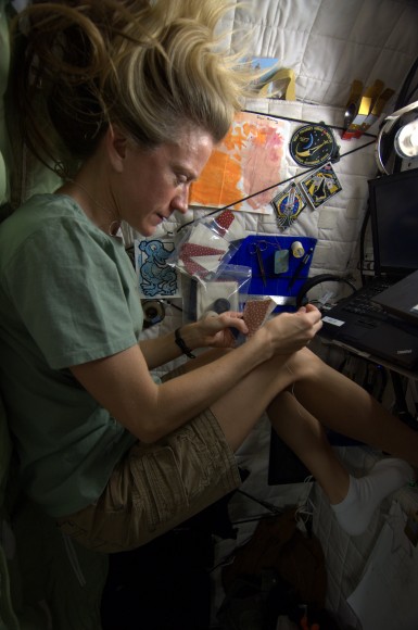 NASA astronaut Karen Nyberg quilting during the Expedition 36/37 mission in 2013. Credit: Karen Nyberg (Pinterest)